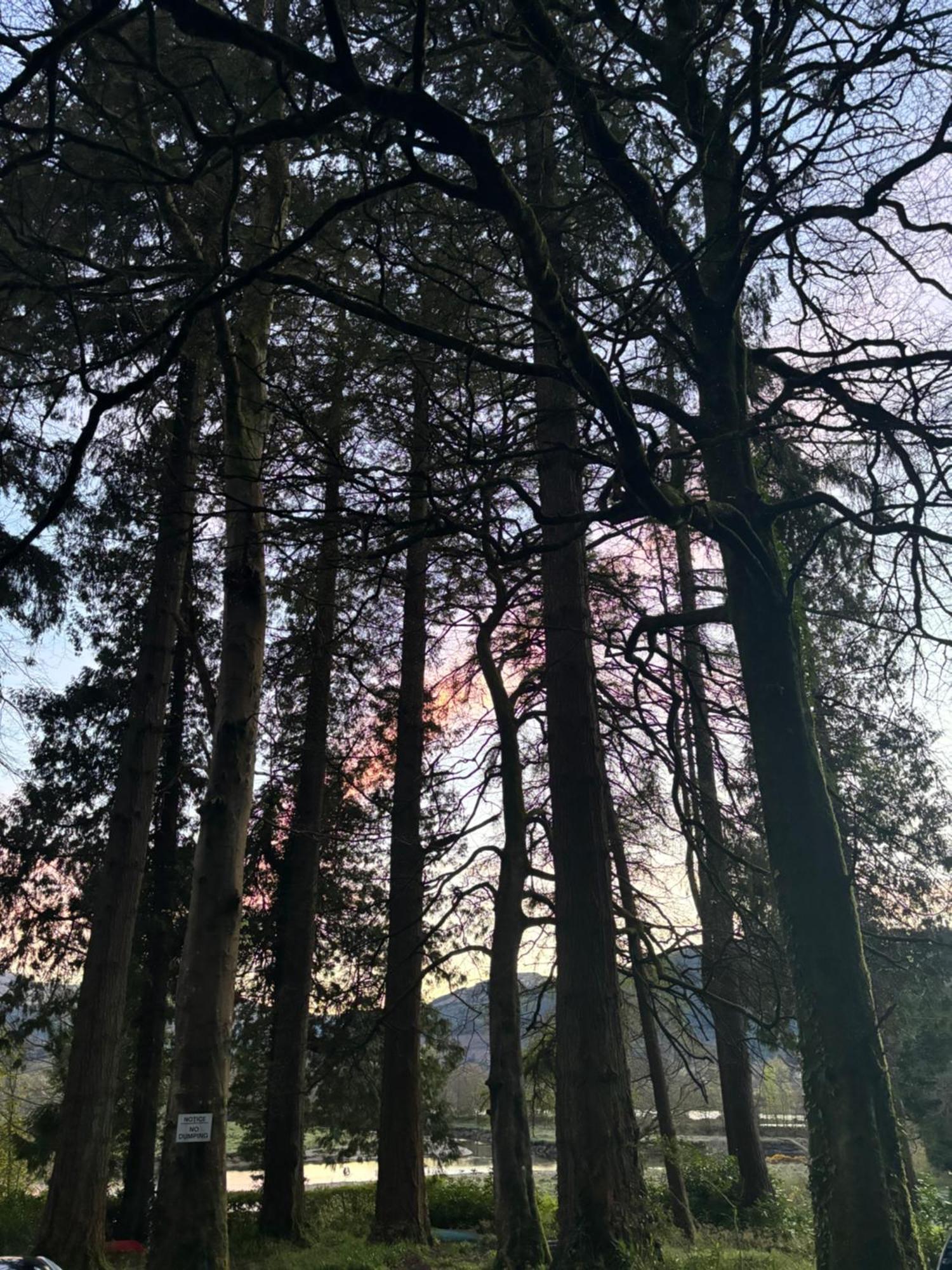 North Lodge Kilmun Экстерьер фото