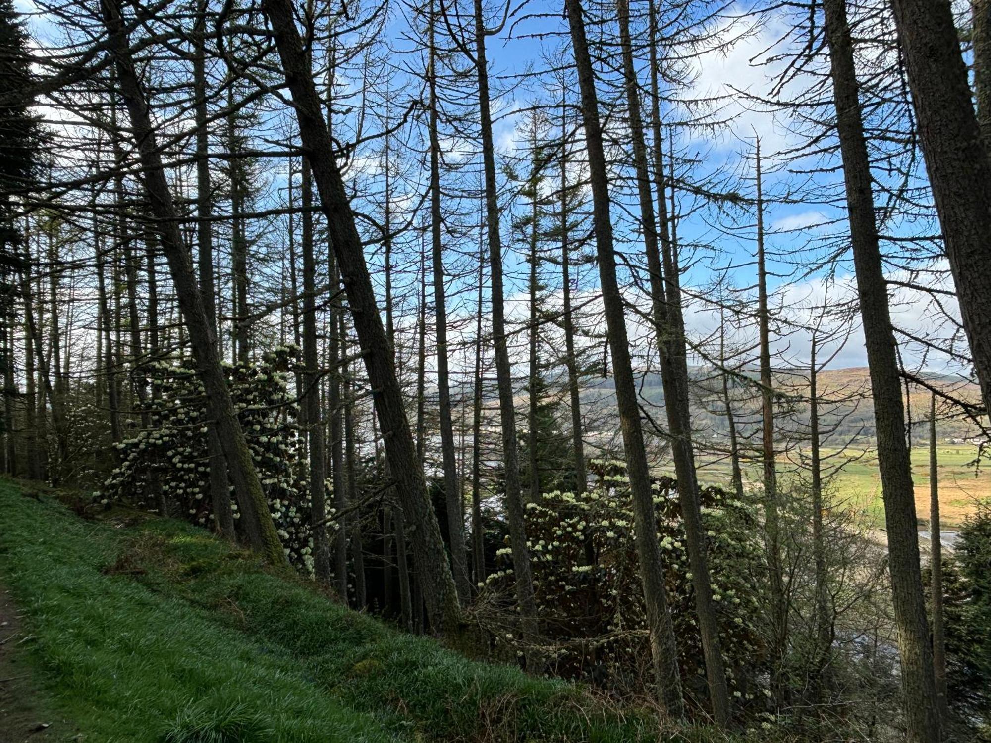 North Lodge Kilmun Экстерьер фото